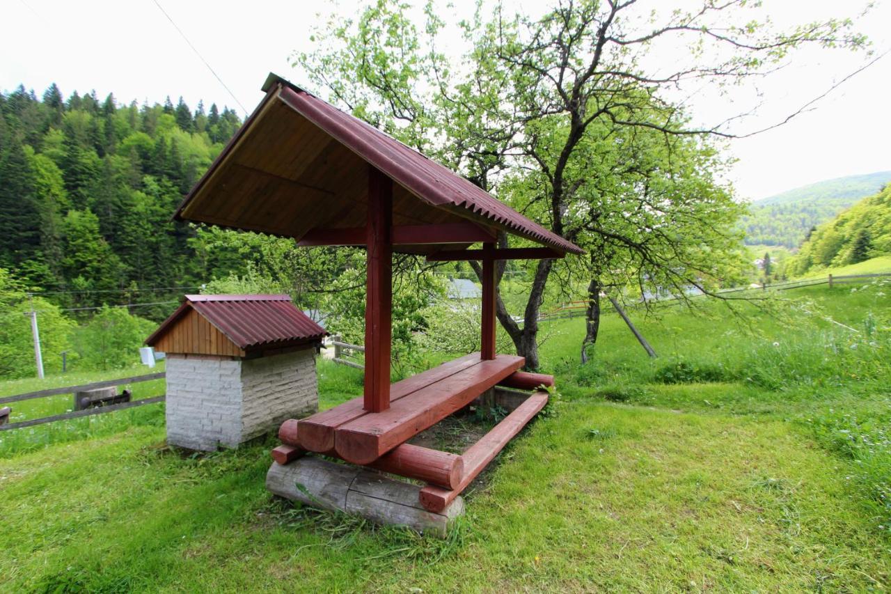 Котедж "Карпатський Краєвид" 亚列姆切 外观 照片
